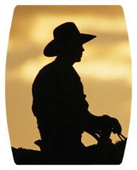 DAREC 360 BZ Cowboy Bronze